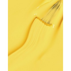 Gel Color - Nos Orange & Jaune